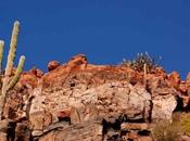 Baja California Konrad Travel