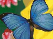 Schema punto croce: Farfalla_2