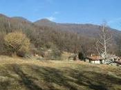 Cittiglio Aga.