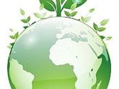 Yale mondiale della sostenibilità