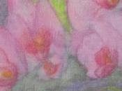 VIGEVANO (pv). Poesia pittura serata Gabriella Maria Bralla.