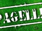 Pagell-AA: tutti voti mercato delle squadre