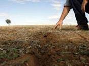 PAVIA. Occorre pioggia stop battere siccità. afferma Coldiretti.