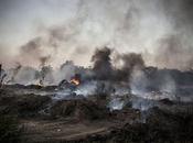 Terra fuochi brucia ancora nell’indifferenza tutti