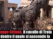 Unioni civili, cavallo Troia della maternità surrogata.