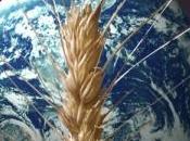 Fertilizzanti, potassa fosfati: ricetta sfamare pianeta