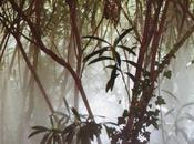 NICOLA CROCE, Istruttiva Serie