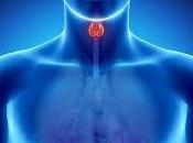 MILANO. Tiroide ieri oggi, all’incontro Circolo della Stampa.