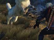 Spuntano possibili dettagli inediti Witcher Blood Wine Notizia