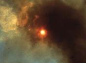 HUMAN POTENTIAL, Where Want