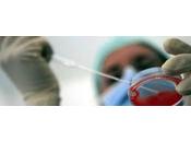 Virus Zika: rilevato prima volta liquido amniotico donne