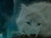 Anteprima: L'ombra lupo Bianco Agnes Moon