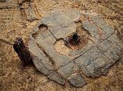 Gran Bretagna: trovata ruota legno dell'Età Bronzo