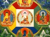 Cinque Buddha