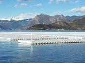 Christo Franciacorta, fiumi spumante vista floating piers. prima polemiche