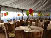 Party Tema Bosco