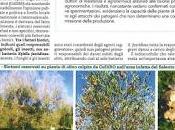 Scienziati dottori agronomi dell'Università Foggia: ricerca
