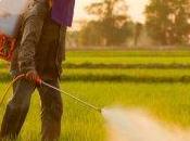 Pesticidi: associazioni chiedono messa bando glifosato