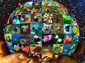 Giornata mondiale della natura (World Wildlife Day)