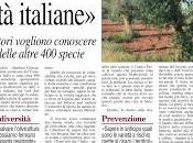 collega Giovanni Melcarne propone strada delle popolazioni olivo resistenti Xylella