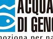 Acquario Genova 2016: Sconti, Promozioni Offerte