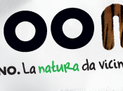 Zoom 2016: Promozioni Convenzioni