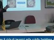 Xylella prof. Giovanni Martelli Coldiretti Lecce