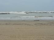 Mare, pesce, amore