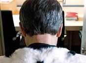 corte