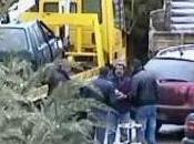 Matera banda ladri rame (01.04.11)