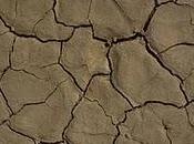 fungine batteri: segreto disinquinare terreni