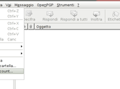 Tips'nTricks: Thunderbird/IceDove posta arrivo vari account