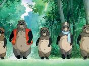 Poko (dvd)