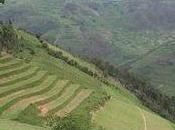 Rwanda, dimenticare