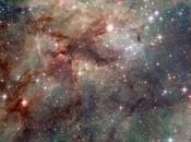 Nebulosa Tarantola nuovi dettagli rivelati Hubble