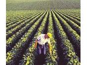 neoministro dell’agricoltura