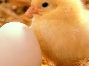 vegan?! uova perchè no?!