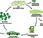Algae Fuel