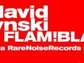David Fiuczynski Flam! Blam! Pan-Asian Microjam!