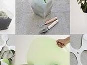 GREENkit giardinaggio domestico