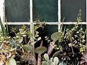 Come decorare finestra