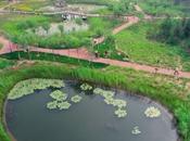 Tianjin Qiaoyuan Wetland Park