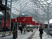 Hangar Design Group