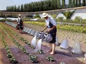 Primavera nell’orto…