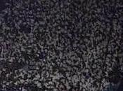 Napoli Maggio crede nello scudetto (15.04.11)