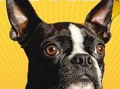 migliori fumetterie mondo festeggiano vittoria