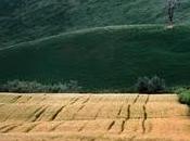 Giornata mondiale della terra