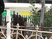 Foto giorno aprile 2011 australia sexy shop fianco della chiesa