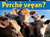 `·.¸ vegan life ¸.·´