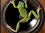 Quando leghisti parlano alla radio...